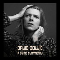 Divine Symmetry: The Journey to Hunky Dory [LP] - VINYL - Front_Zoom