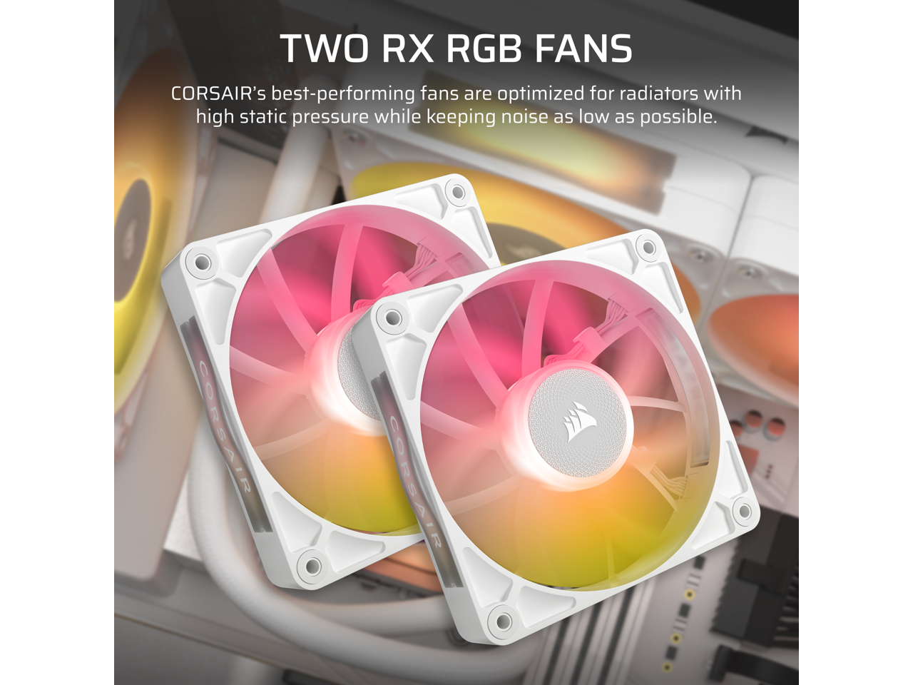 TWO RX RGB FANS

CORSAIR's best-performing fans are optimized for radiators with high static pressure while keeping noise as low as possible.
