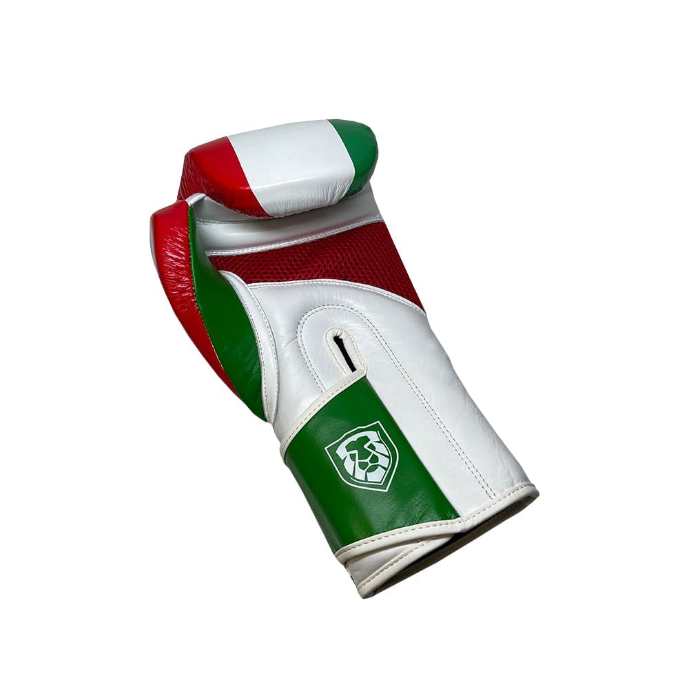 Left. Amber Sporting Goods - Invincible Fight Gear Standard Gloves with Mexican Flag Colors -Ideal  for Men Women and Kids (12oz) - Mexican Flag.