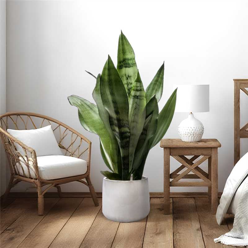 Angle. Loheer - Loheer Ceramic Planter Set, Handmade Set of 4 Neutral Textured Clay Pots, 6 9 11 14 Inch Indoor Outdoor Planters.