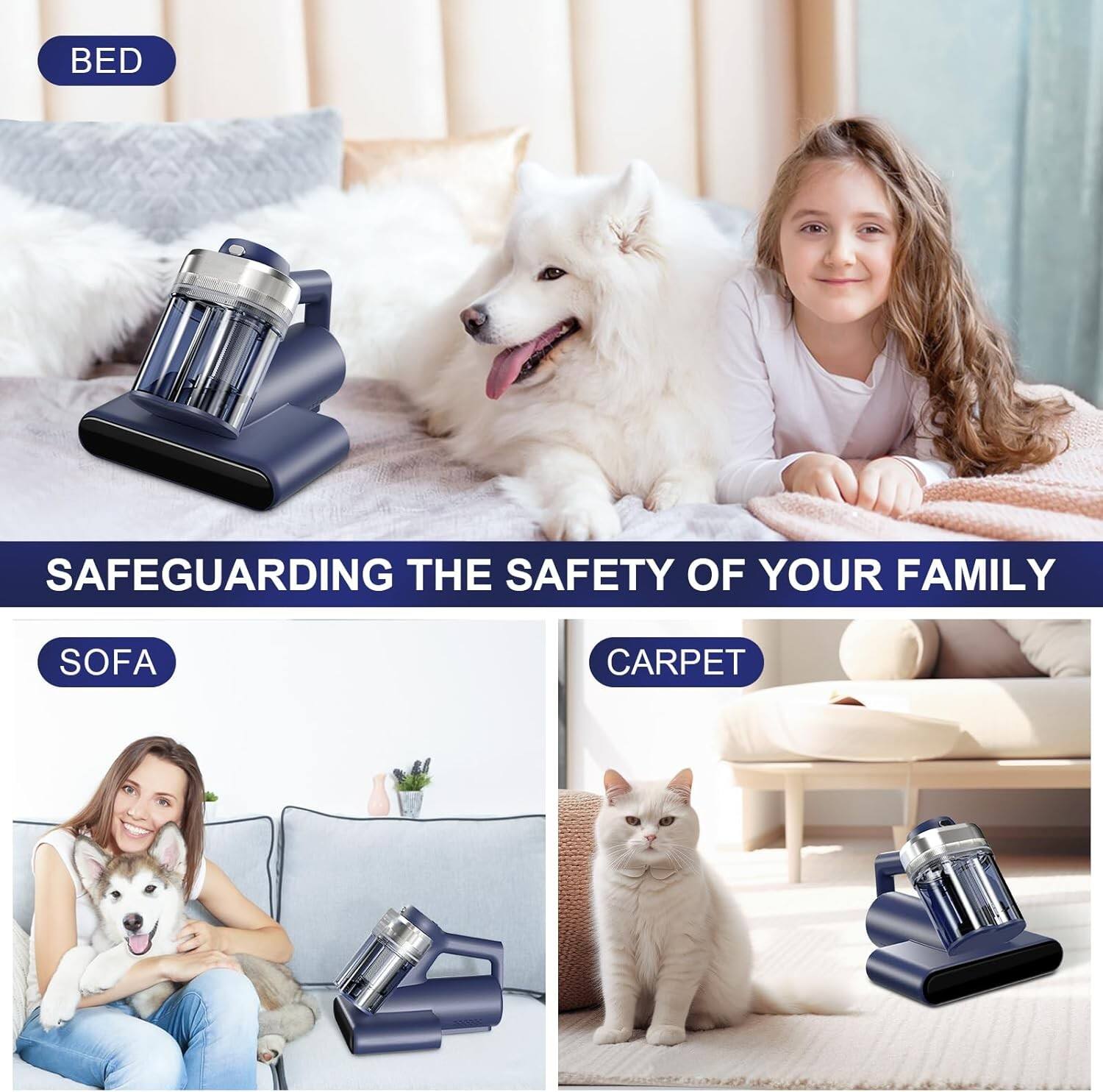 Sure, here is the corrected and grouped text:

---

**BED**

**SAFEGUARDING THE SAFETY OF YOUR FAMILY**

**SOFA**

**CARPET**

---