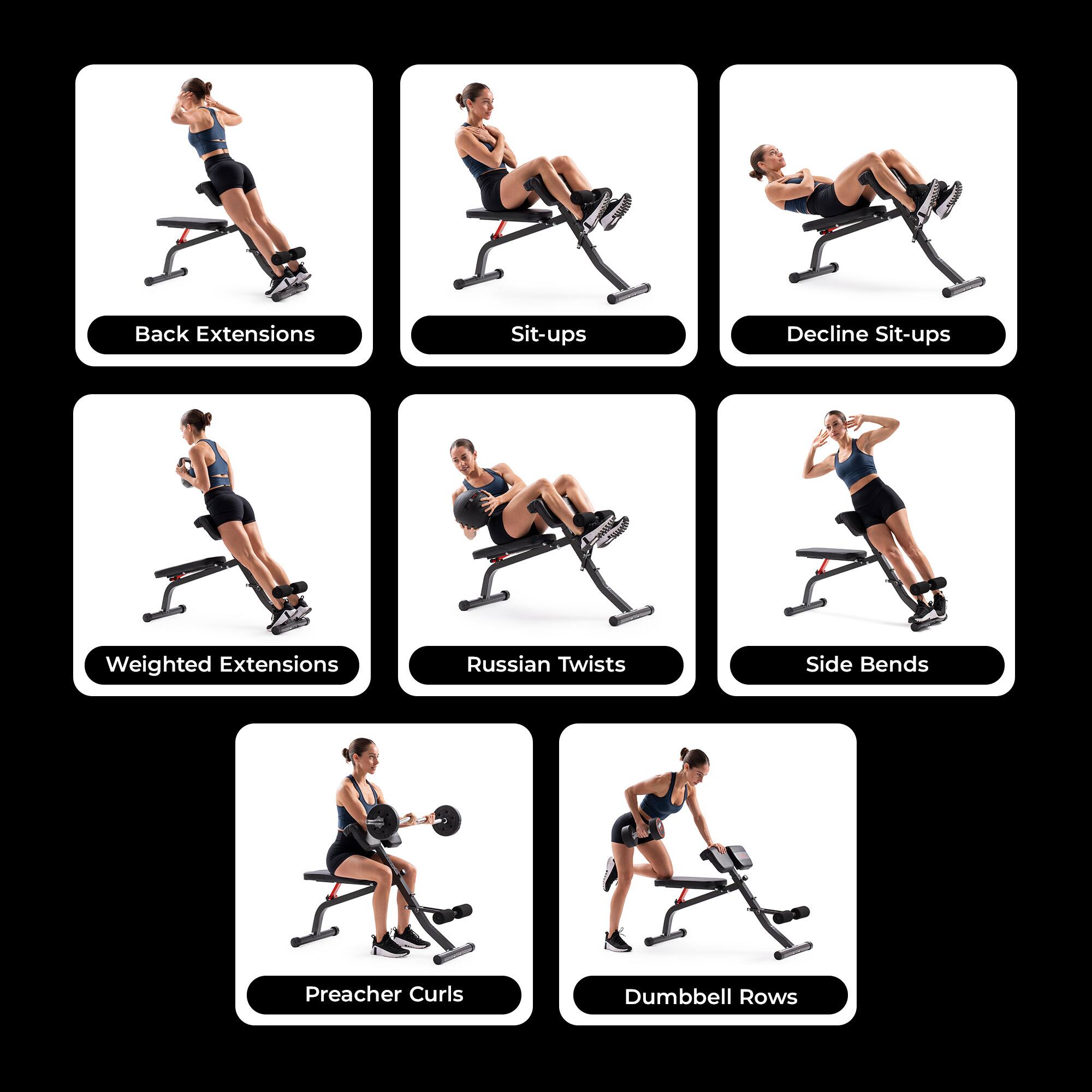 Back Extensions  
Sit-ups  
Decline Sit-ups  
Weighted Extensions  
Russian Twists  
Side Bends  
Preacher Curls  
Dumbbell Rows