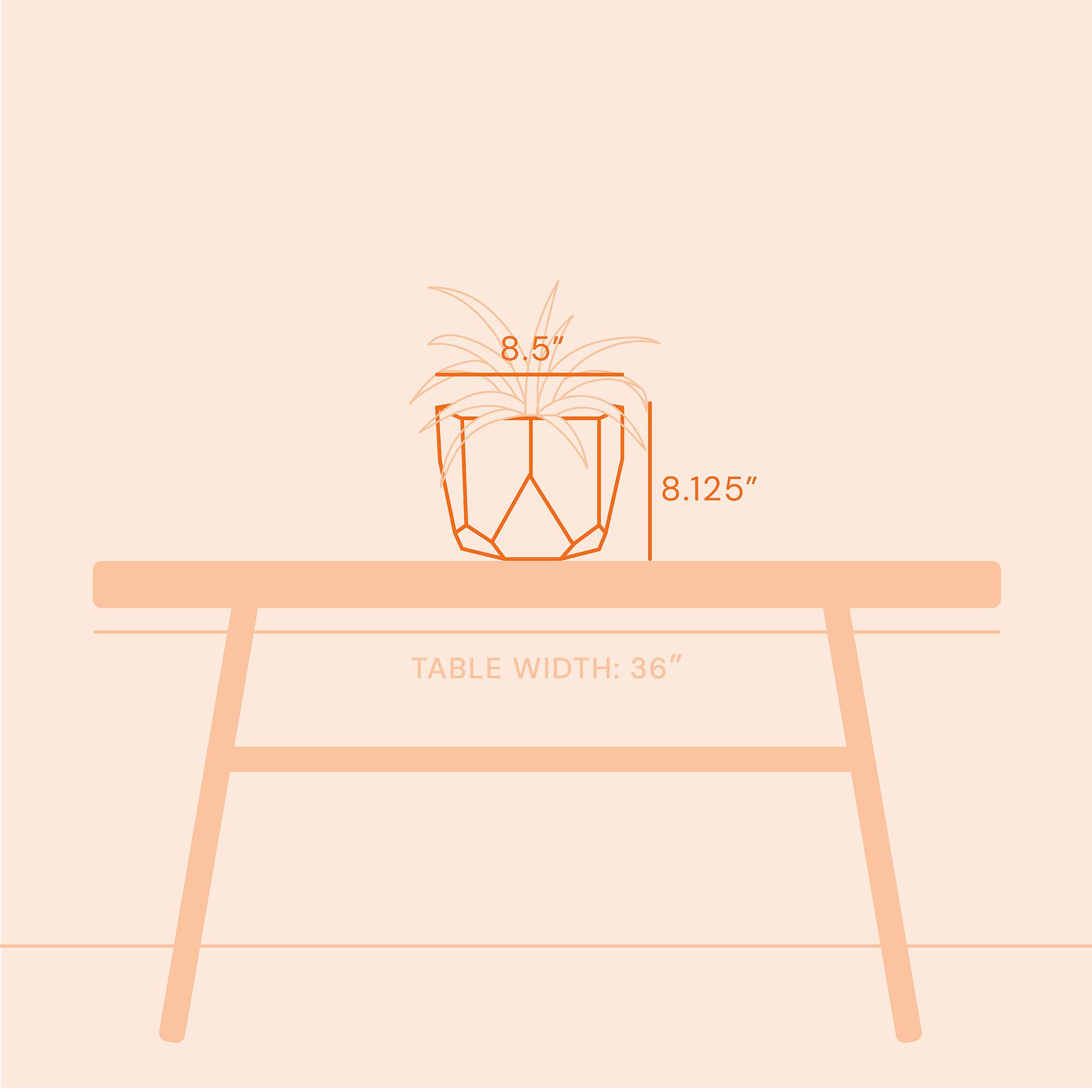 8.5" 8.125" TABLE WIDTH: 36"