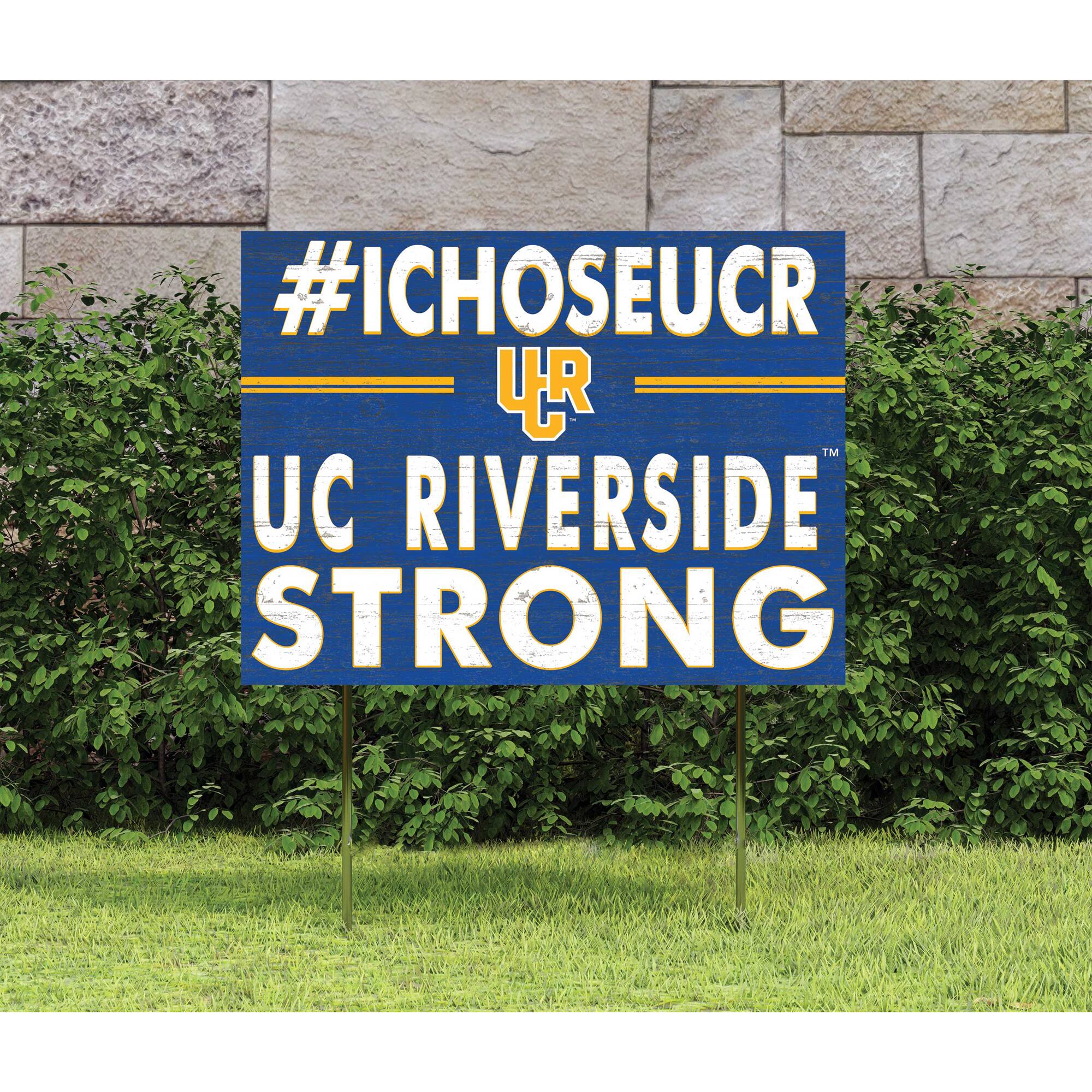 #ICHOOSEUCR  
UC RIVERSIDE  
STRONG