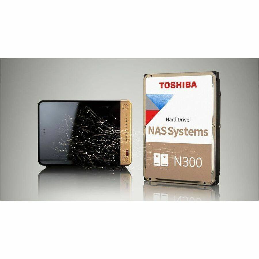 TOSHIBA ASBESSEN Hard Drive NAS Systems N300