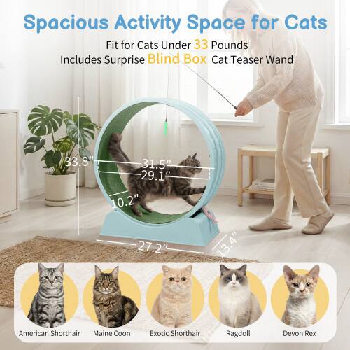 Spacious Activity Space for Cats  
Fit for Cats Under 33 Pounds  
Includes Surprise Blind Box Cat Teaser Wand  

33.8"  
31.5"  
29.1"  
10.2"  
27.2"  
13.4"  

American Shorthair  
Maine Coon  
Exotic Shorthair  
Ragdoll  
Devon Rex