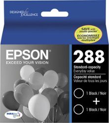 Epson - 288 2-Pack Ink Cartridges - Black - Front_Zoom