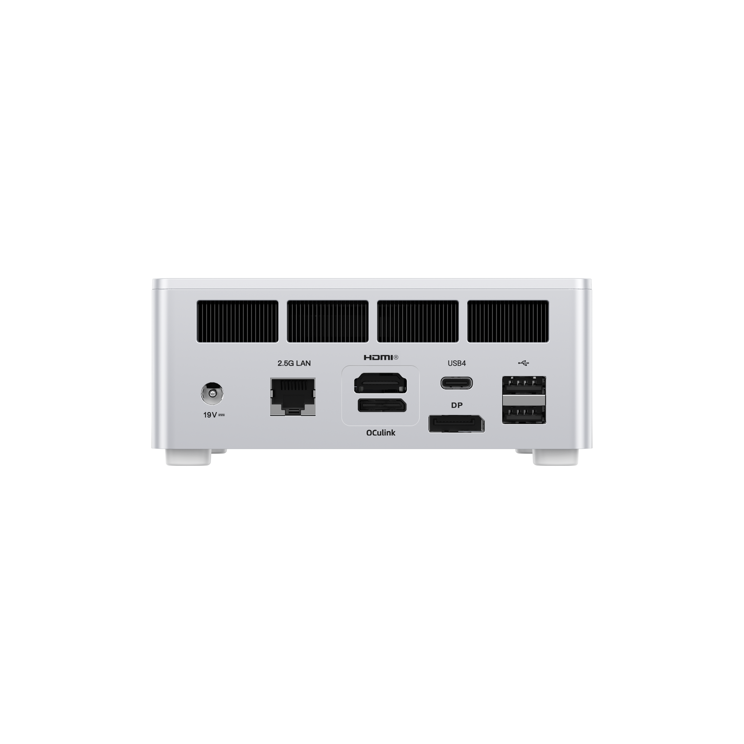 2.5G LAN HOMI USB4 19V DP - OCulink