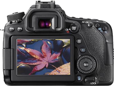 Canon EOS 80D DSLR Camera (Body Only) Black 1263C004 - Best Buy Canon EOS 80D DSLR Camera (Body Only) Black 1263C004 - Best Buy