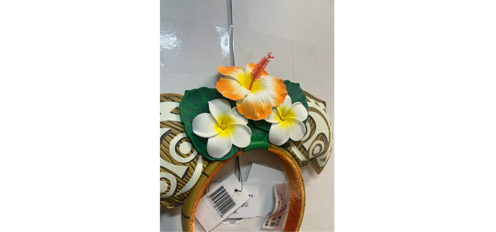 73580055240 NISS   T. NIGS