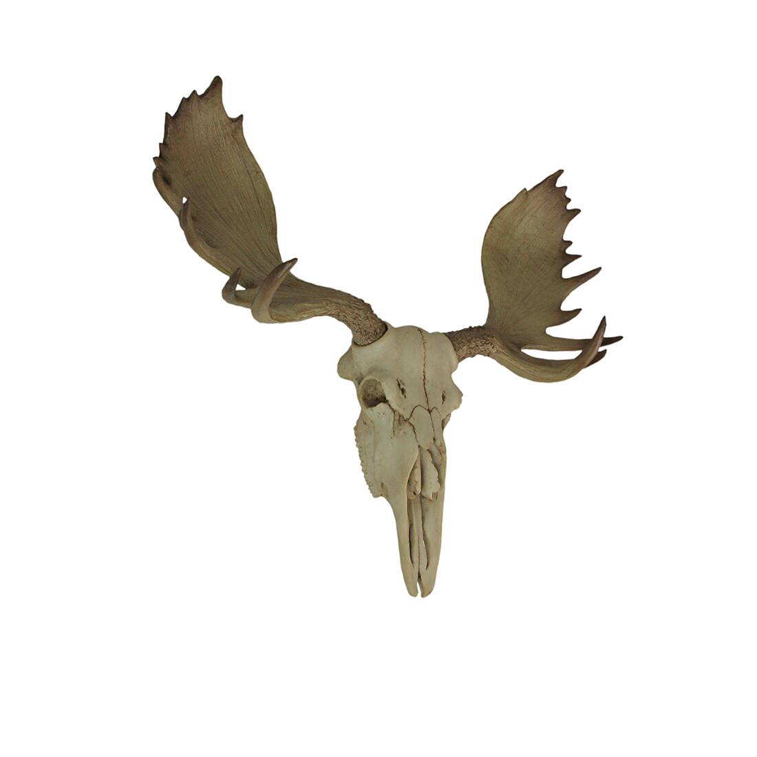 Alt View 1. World of Wonders - Large Lifelike Bull Moose Skull Hanging Wildlife Decor Statue - Off-white.
