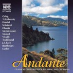 Front Standard. Andante [CD].