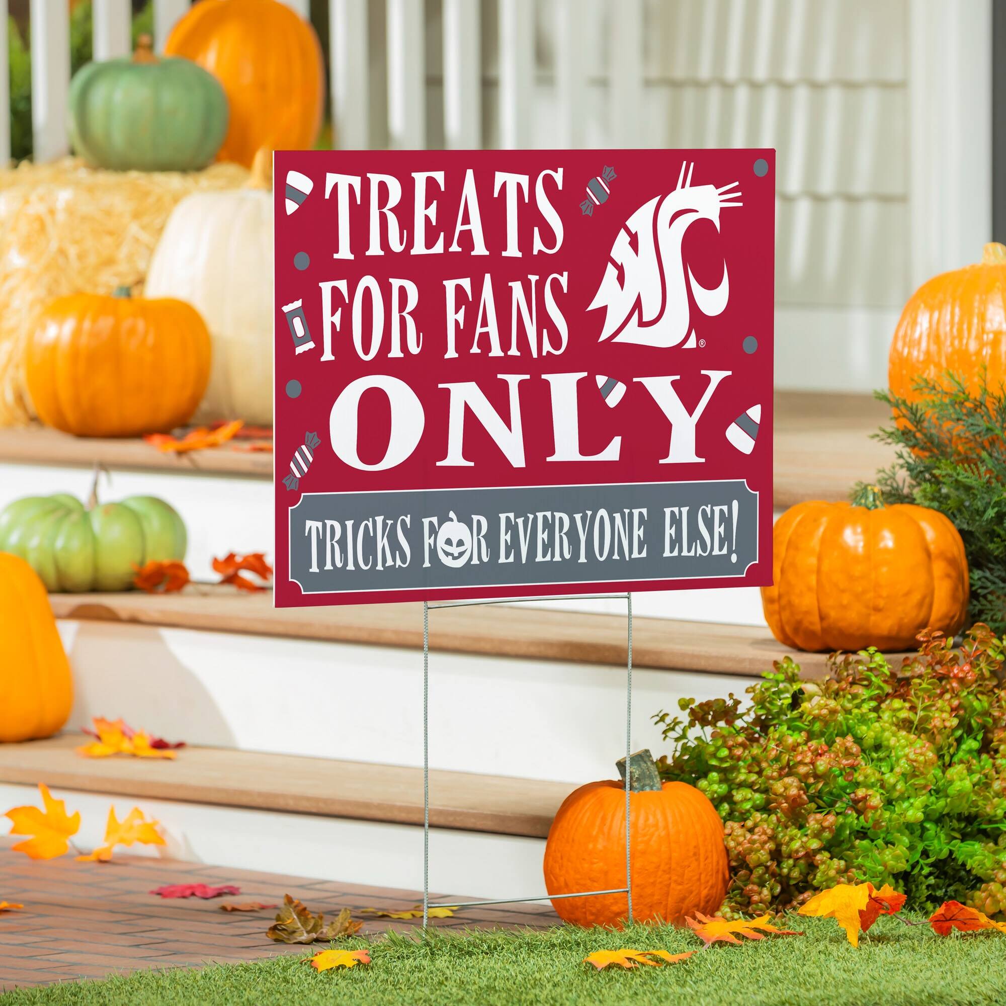 TREATS FOR FANS ONLY  
TRICKS FOR EVERYONE ELSE!