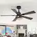Left. Breezary - 42-In Indoor Ceiling Fan with Light Kit, 5 Plywood Blades, 6-Speed DC Motor and Remote, Timer, Memory Function(1/2 Pack) - Matte Black (1 Pack).