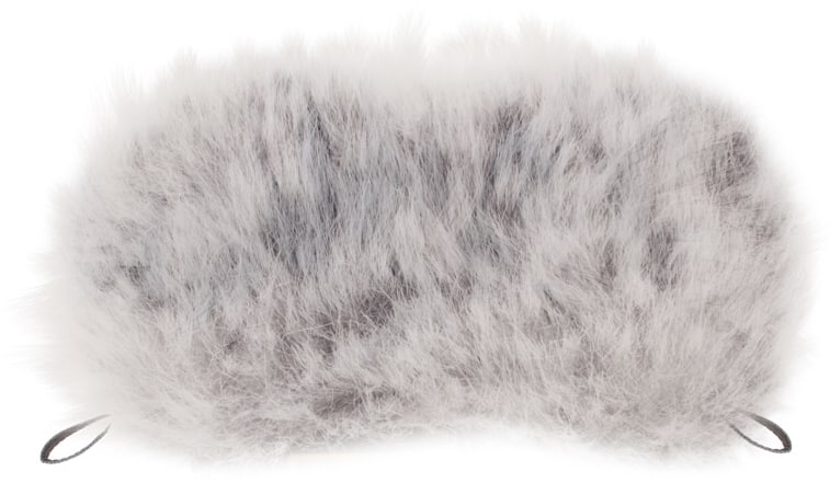 Windscreen for TASCAM Recorders