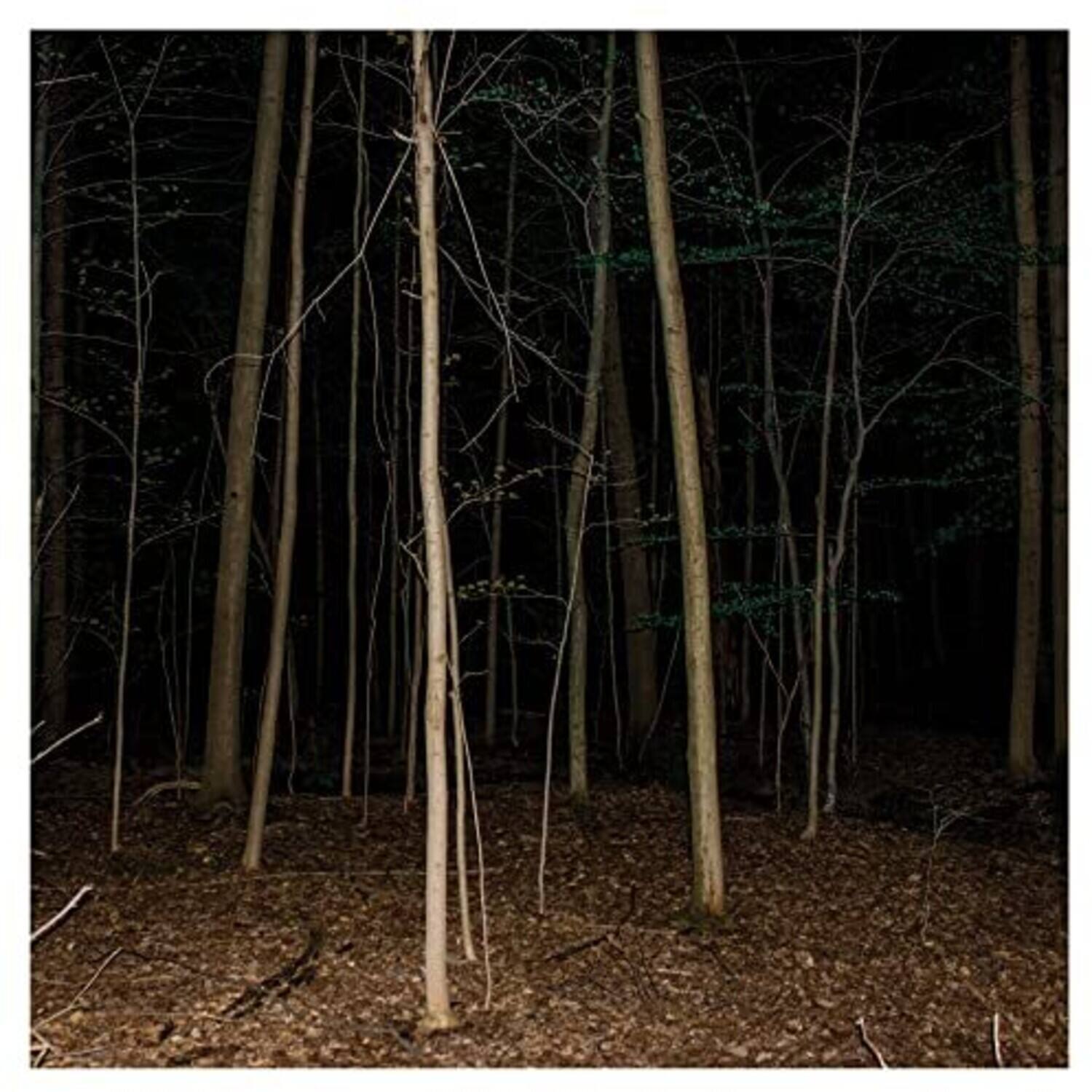 Express Rising - Fixed Rope Ii   - COMPACT DISCS [CD] price history on PriceWatchPro