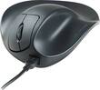 Prestige - Handshoe USB Mouse - Black - Angle