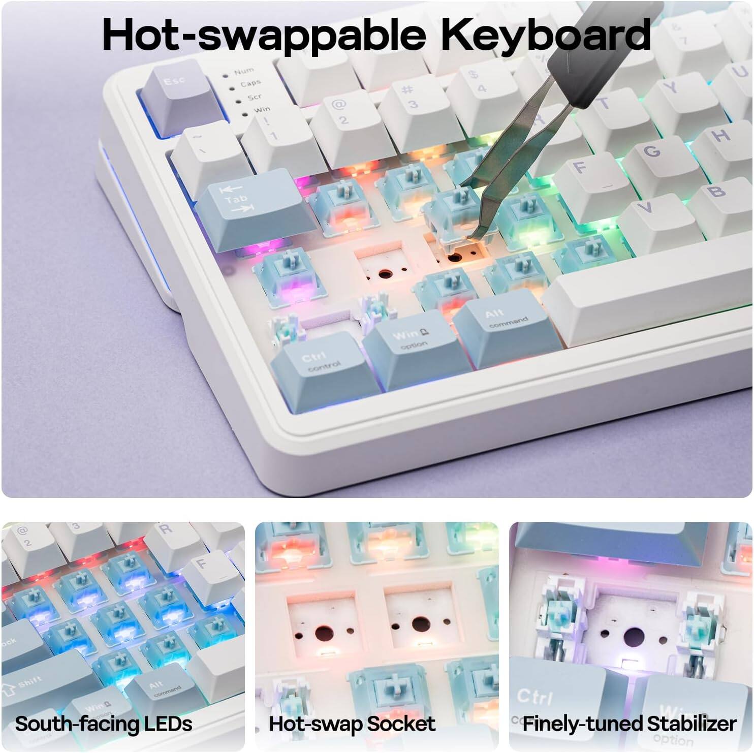 Hot-swappable Keyboard

- Hot-swappable Keyboard
- South-facing LEDs
- Hot-swap Socket
- Finely-tuned Stabilizer