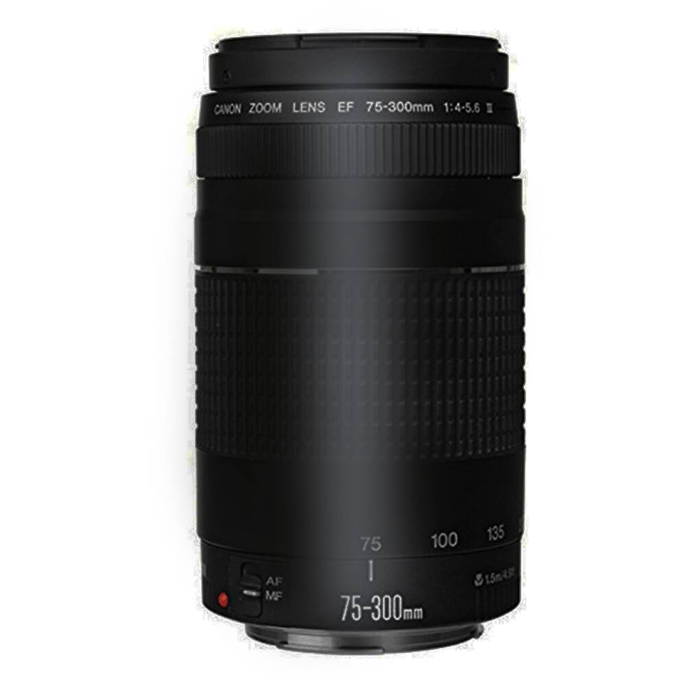 CANON ZOOM LENS EF 75-300mm 1:4-5.6 I AF MF 75 100 135 75-300mm 1.5m/4.8