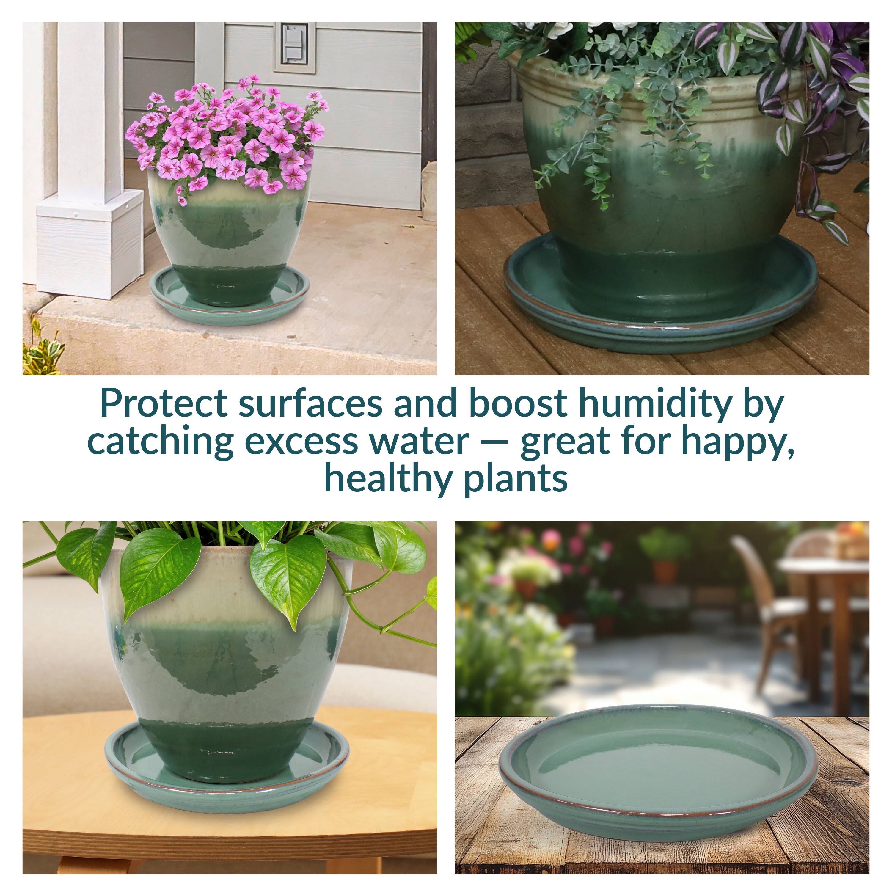Protect surfaces and boost humidity by catching excess water — great for happy, healthy plants