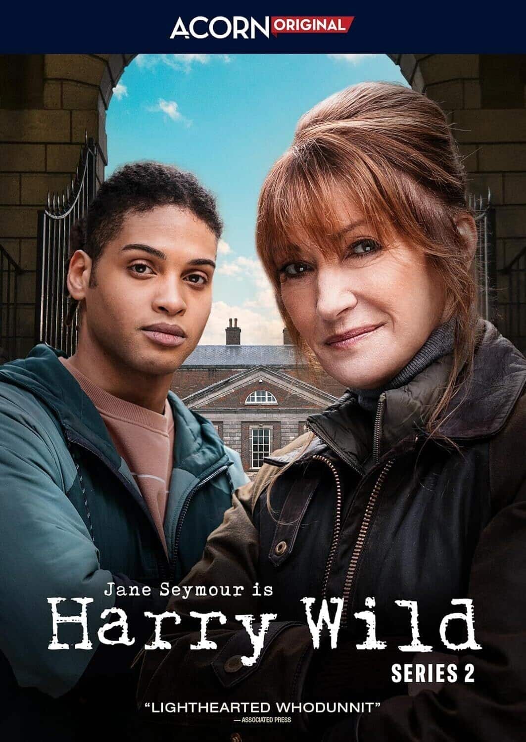Harry Wild: Series 2  - DVD