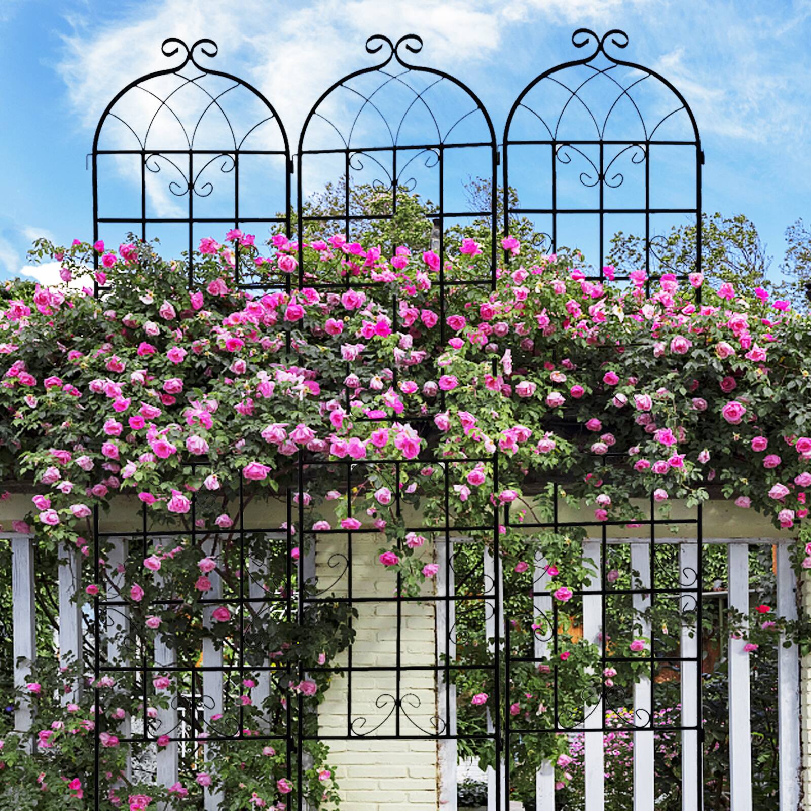 Front. Loheer - 4 Pack Metal Garden Trellis for Climbing Plants Outdoor Flower Support - Black.