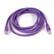 Front Standard. Belkin - Cat. 5E UTP Patch Cable - Purple.
