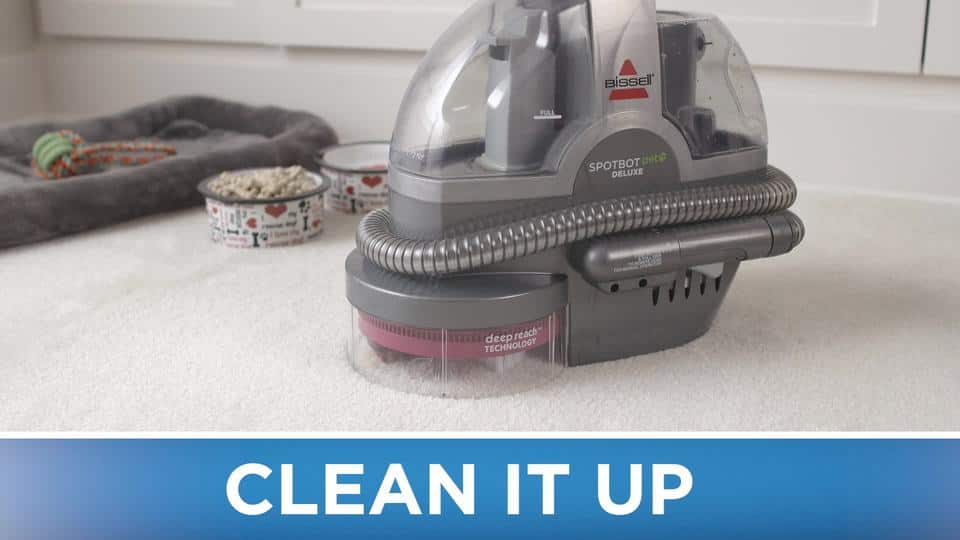 Best Buy BISSELL 32 oz. 2X Ultra Pet Stain & Odor Advanced Formula