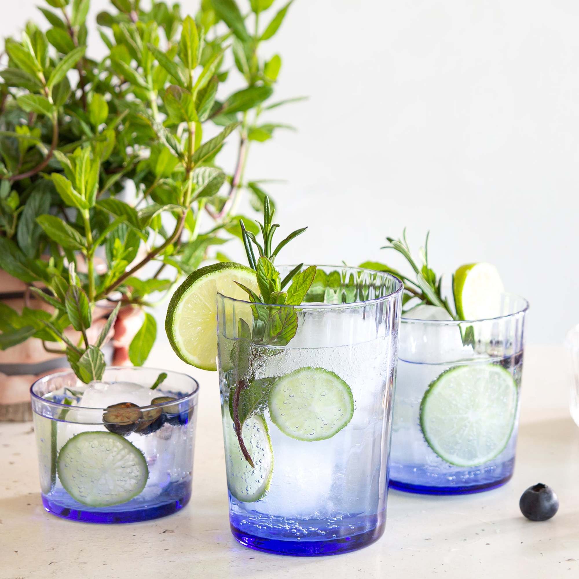 Back. Bormioli Rocco - Bormioli Rocco Gin Fizz Tumblers, Sapphire Blue 17 Oz (Set of 12) - Clear.