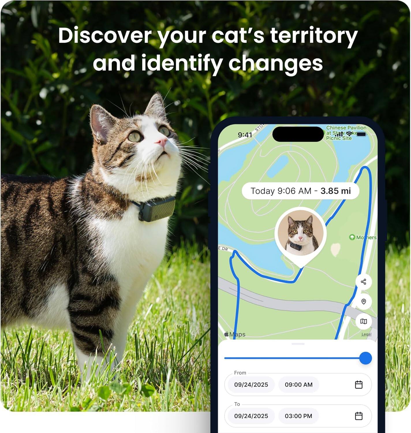 Discover your cat's territory and identify changes

STO 9:41 Chinese Pavilion at Sat Pienie Site
Today 9:06 AM - 3.85 mi

Maps Legal

From 09/24/2025 09:00 AM
To 09/24/2025 03:00 PM