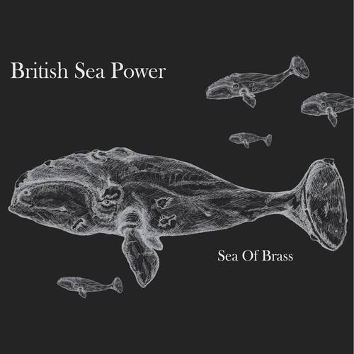 British Sea Power - Sea of Brass   - COMPACT DISCS [CD] price history on PriceWatchPro