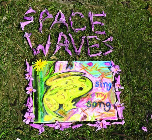 Space Waves - Sing My Song  - VINYL LP