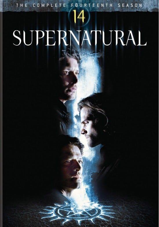 Supernatural: The Complete Fourteenth Season (Box Set) [DVD] [Standard]