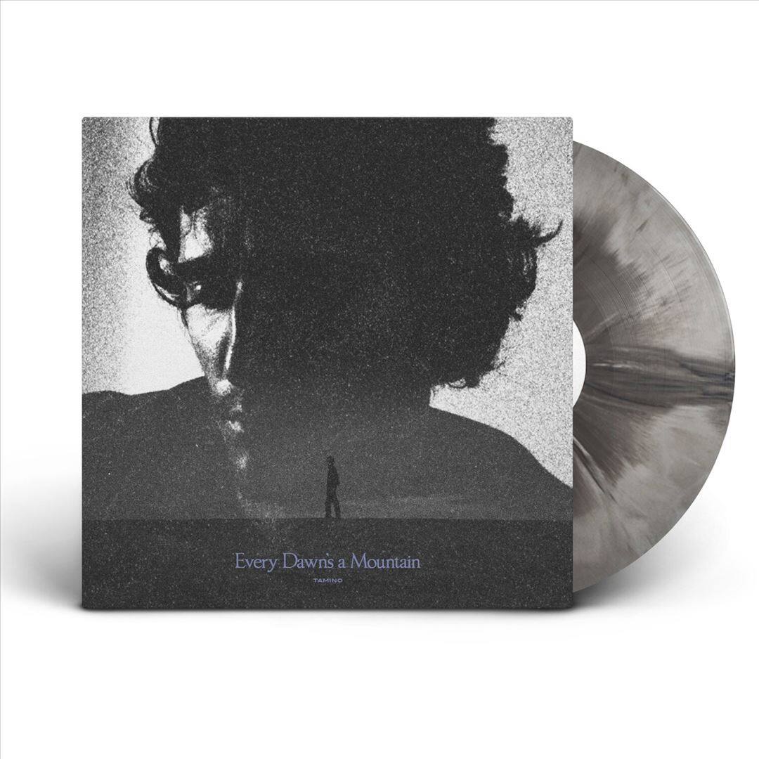 Every Dawn's a Mountain [LP] [VINYL] price history on PriceWatchPro