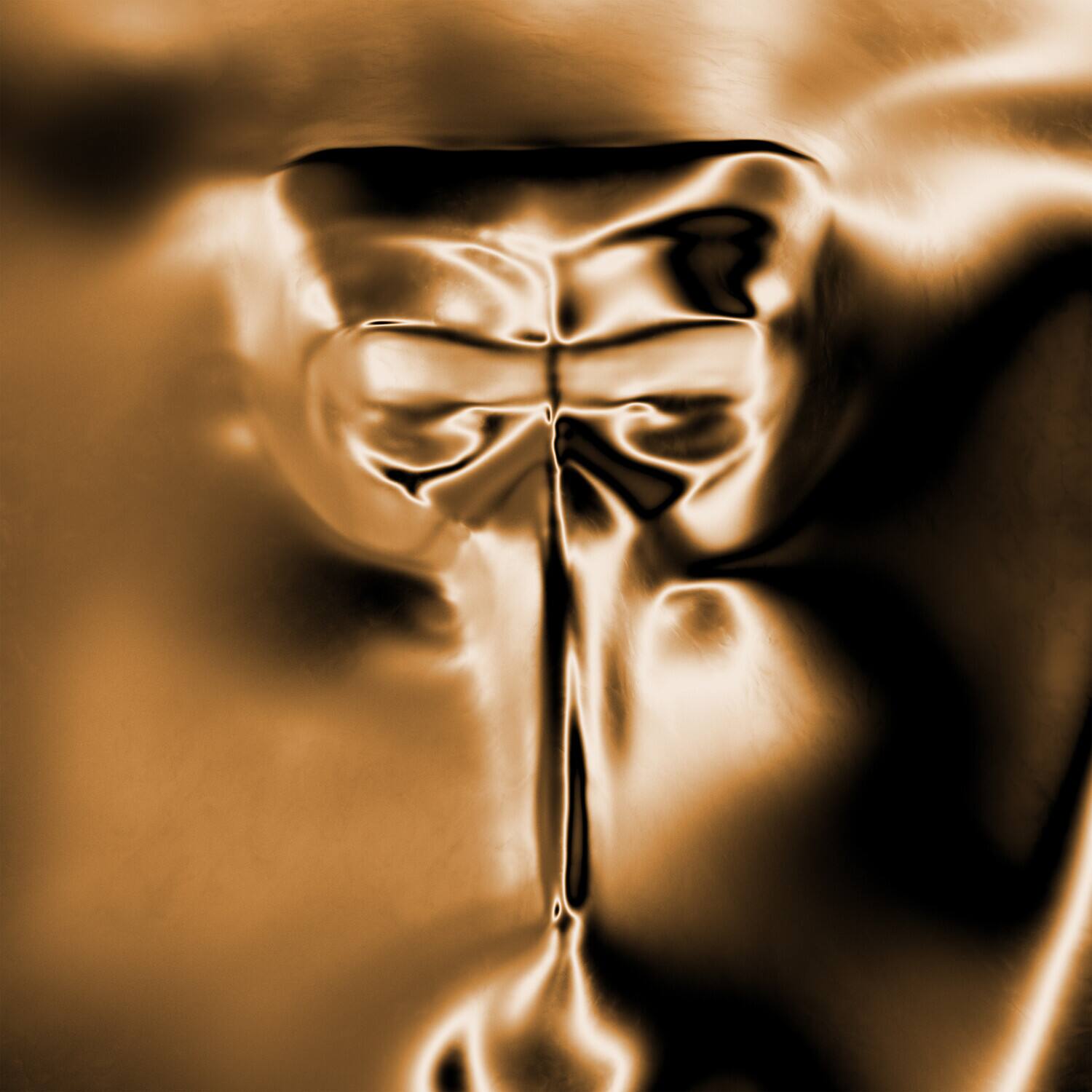 Front. Claptone - Wanderer   - VINYL LP.