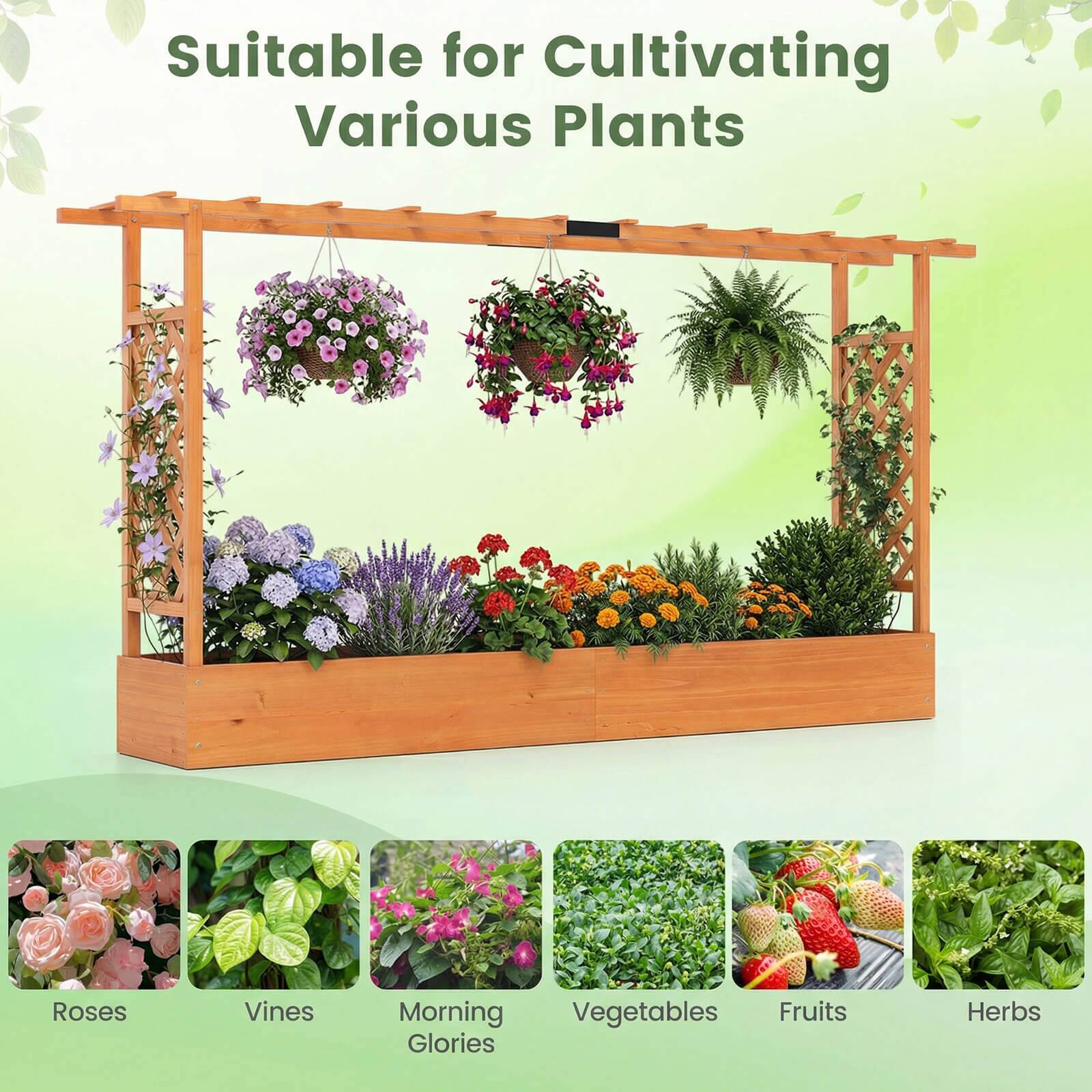Suitable for Cultivating Various Plants

- Roses
- Vines
- Morning Glories
- Vegetables
- Fruits
- Herbs