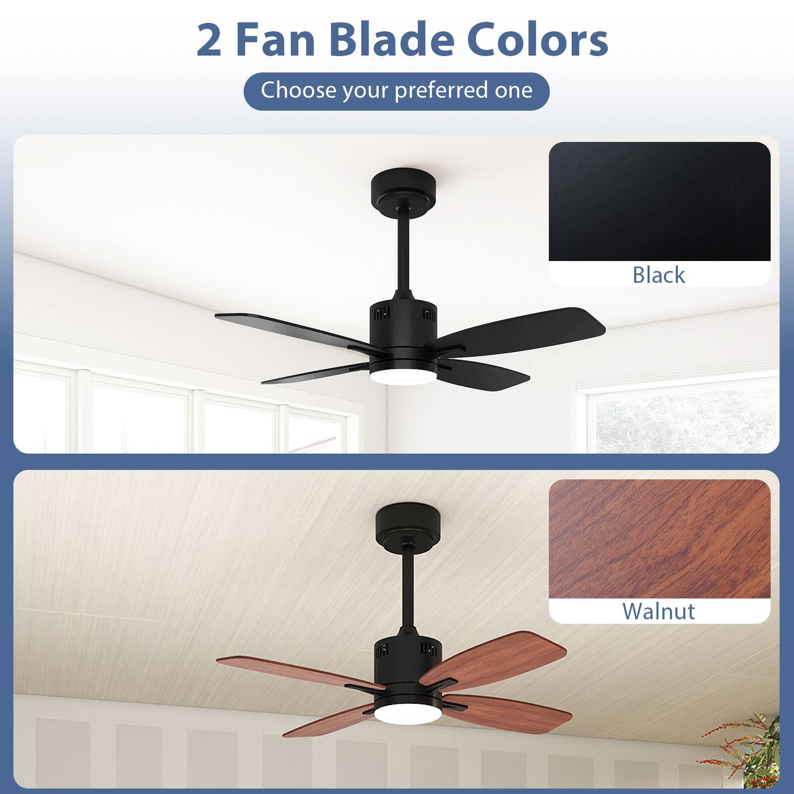 2 Fan Blade Colors  
Choose your preferred one  
Black  
Walnut