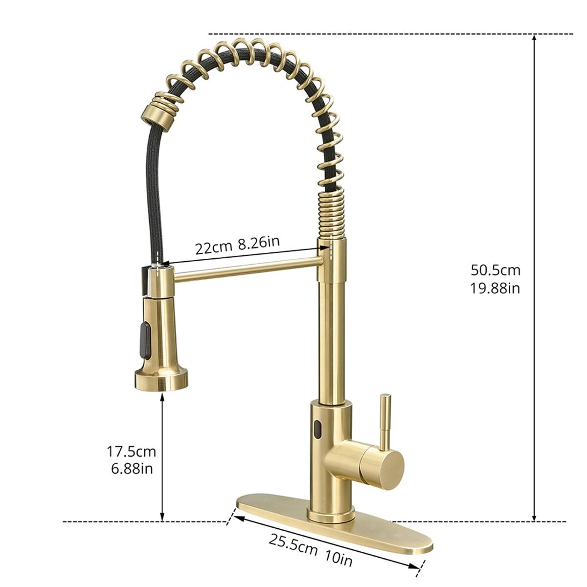 22cm 8.26in  
50.5cm 19.88in  
17.5cm 6.88in  
25.5cm 10in