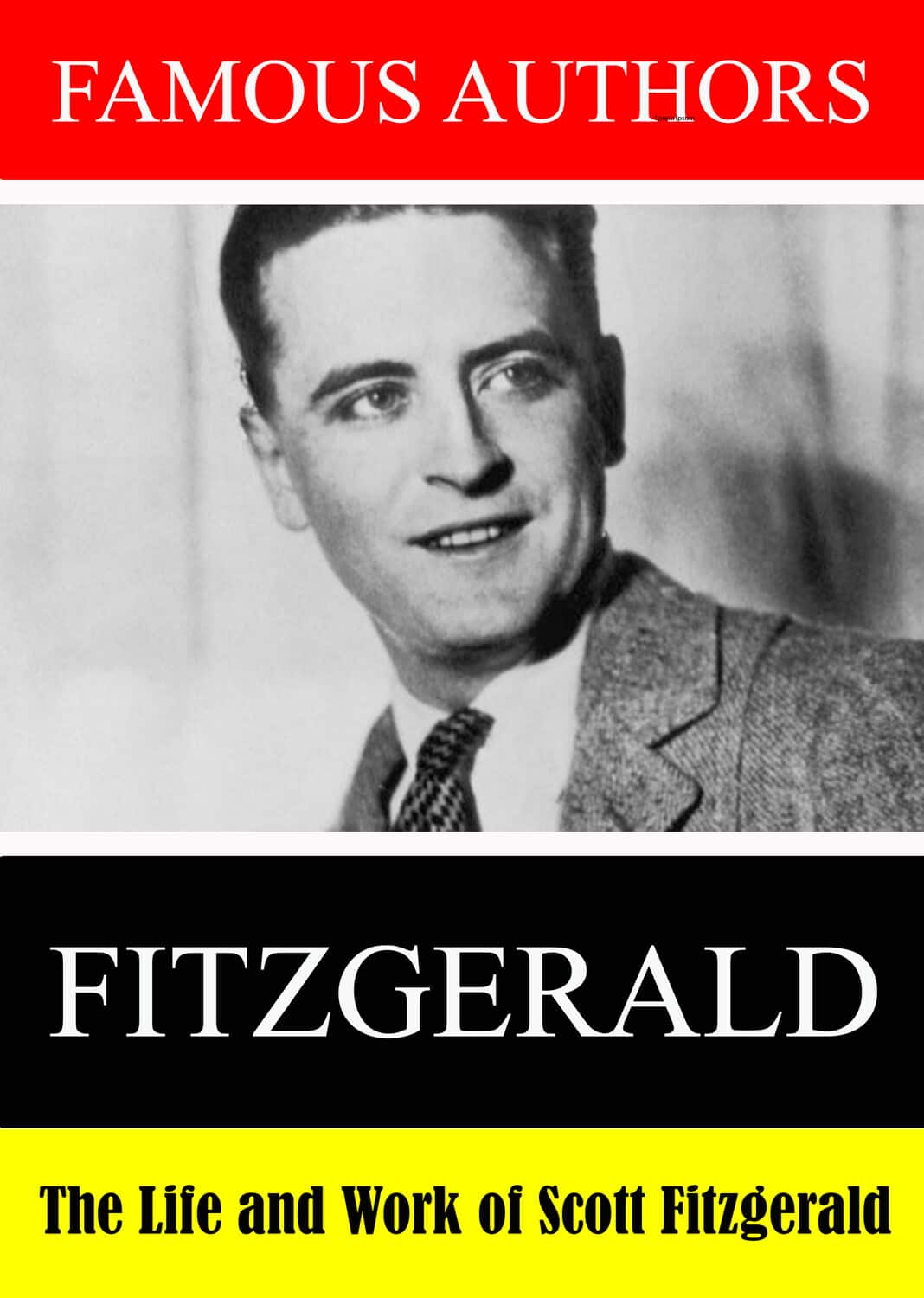 Famous Authors: The Life and Work of F. Scott Fitzgerald  - DVD