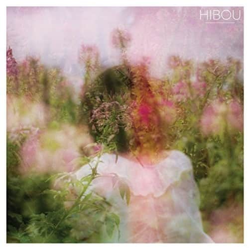 Hibou - Hibou   - CASSETTES price history on PriceWatchPro