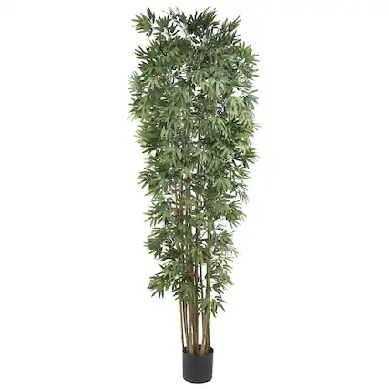 Front. BreeBe - 7' Bamboo Japanica Tree x 12 w/4100 Lvs Natural - Natural.