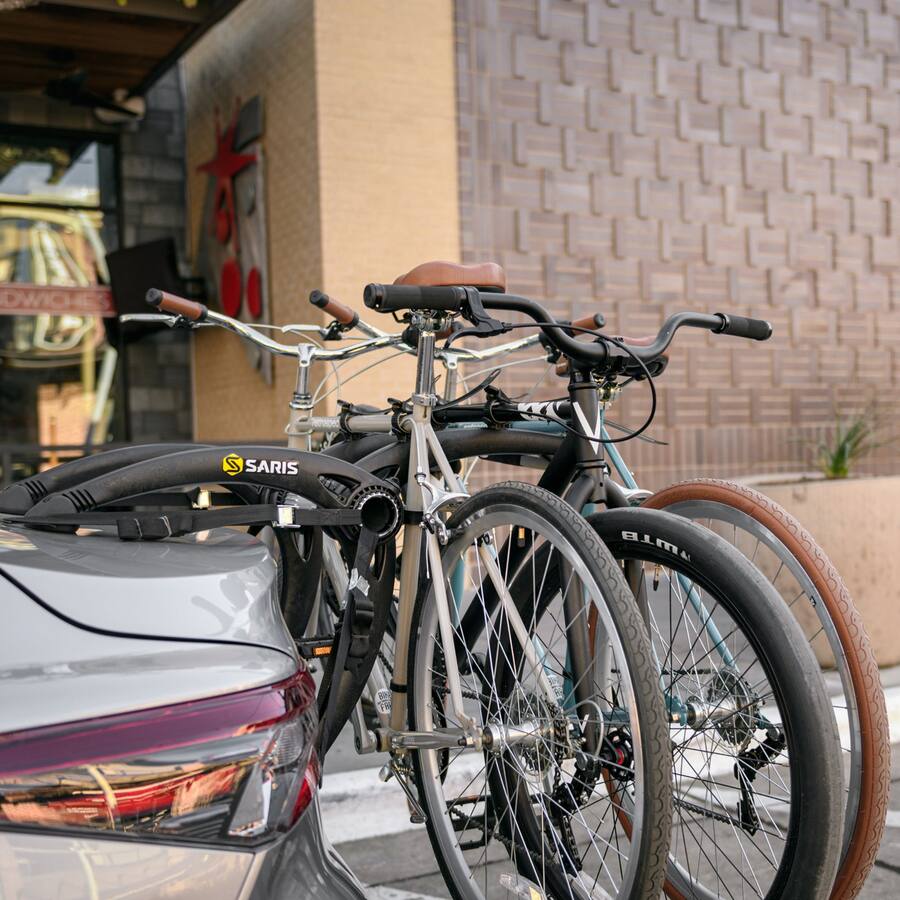 Car Saris Interior Bike Rack Saris Bike Racks, Bones Car Trunk