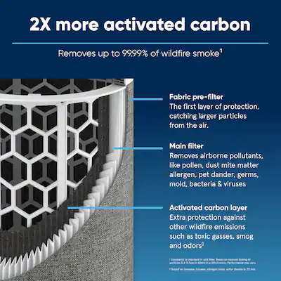 Blueair Blue Pure 311 Auto Filter Review - Air Purifier