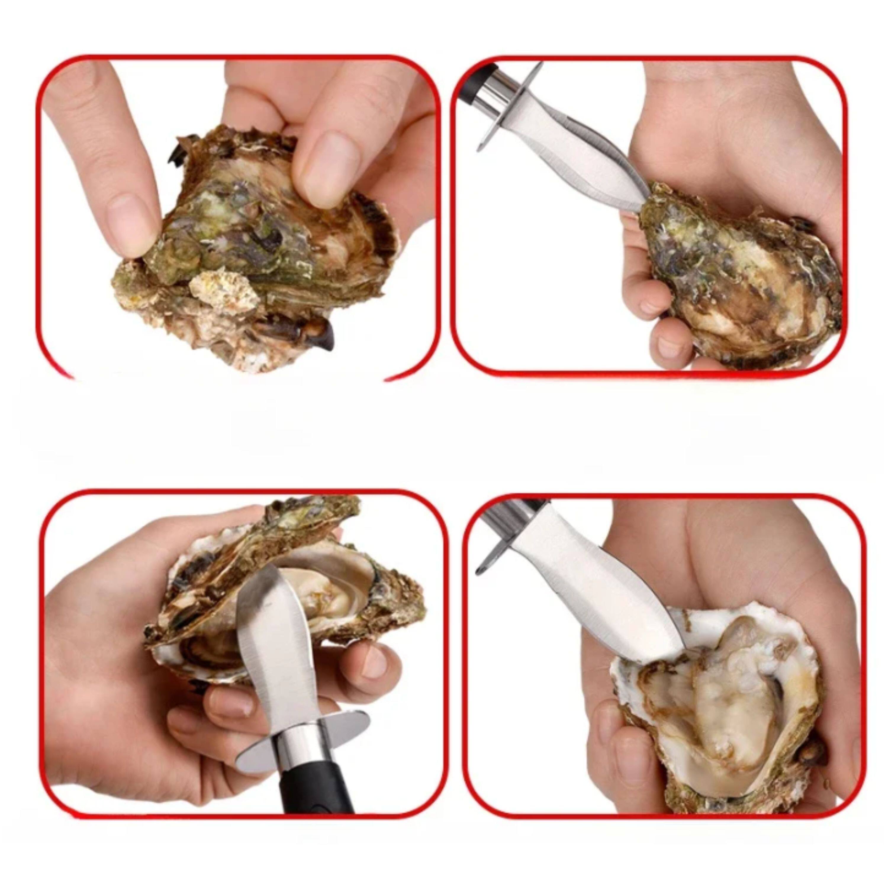 Angle. Kitcheniva - Premium Oyster Clam Shucking Knife with Wooden Handle 1 Pc.