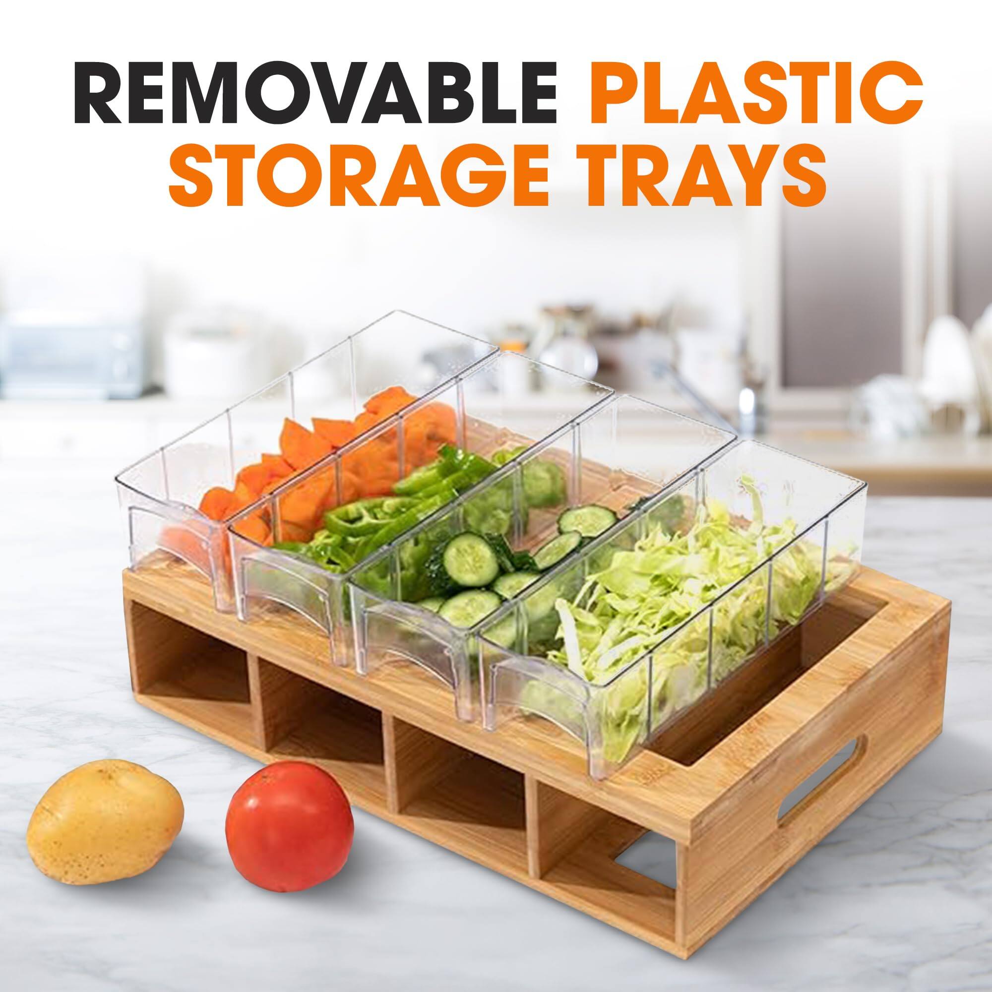 REMOVABLE PLASTIC STORAGE TRAYS