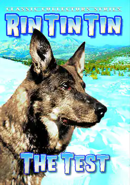 Rin Tin Tin - The Test - DVD
