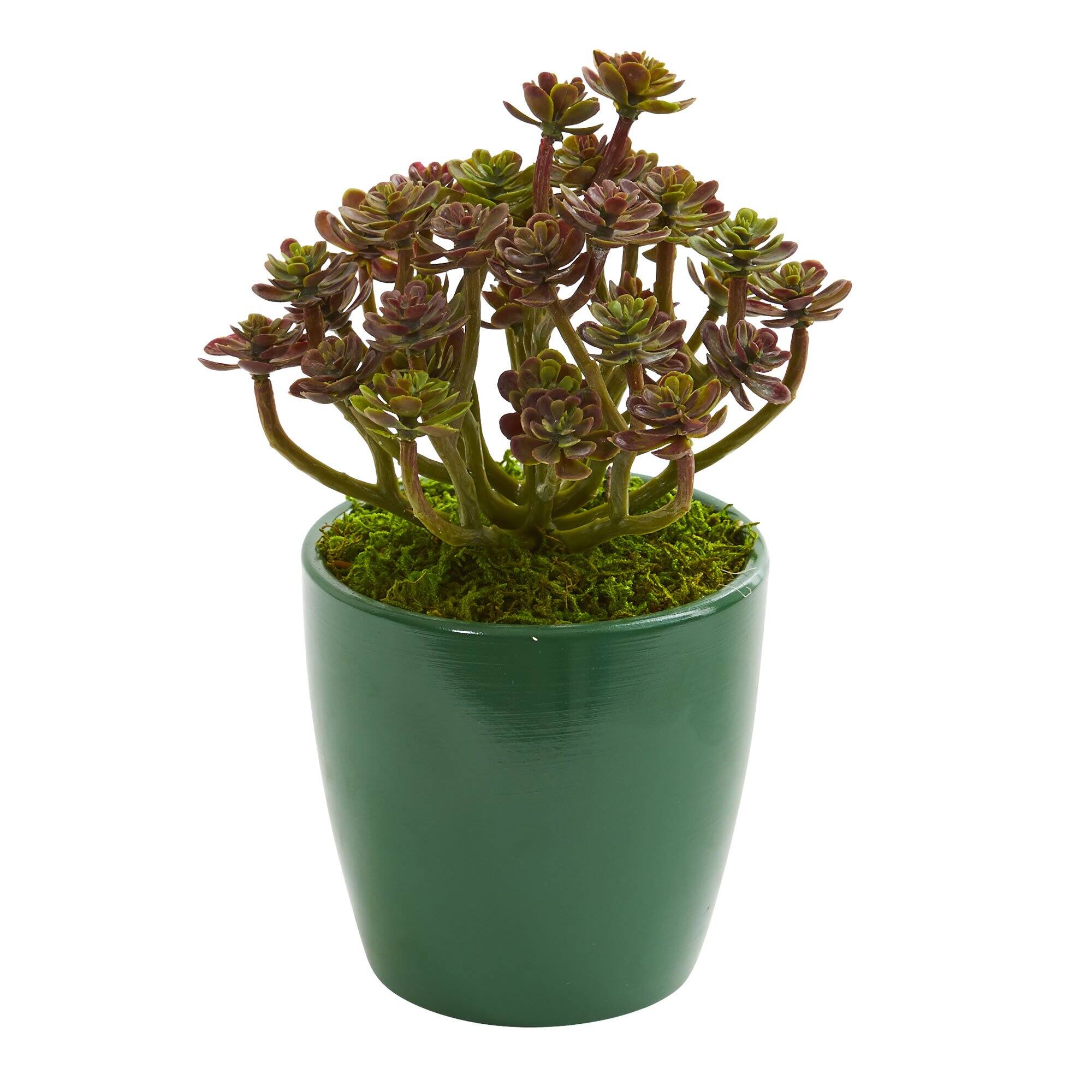 Angle. BreeBe - 8" Sedum Artificial Plant in Green Planter (Set of 2) - Green.