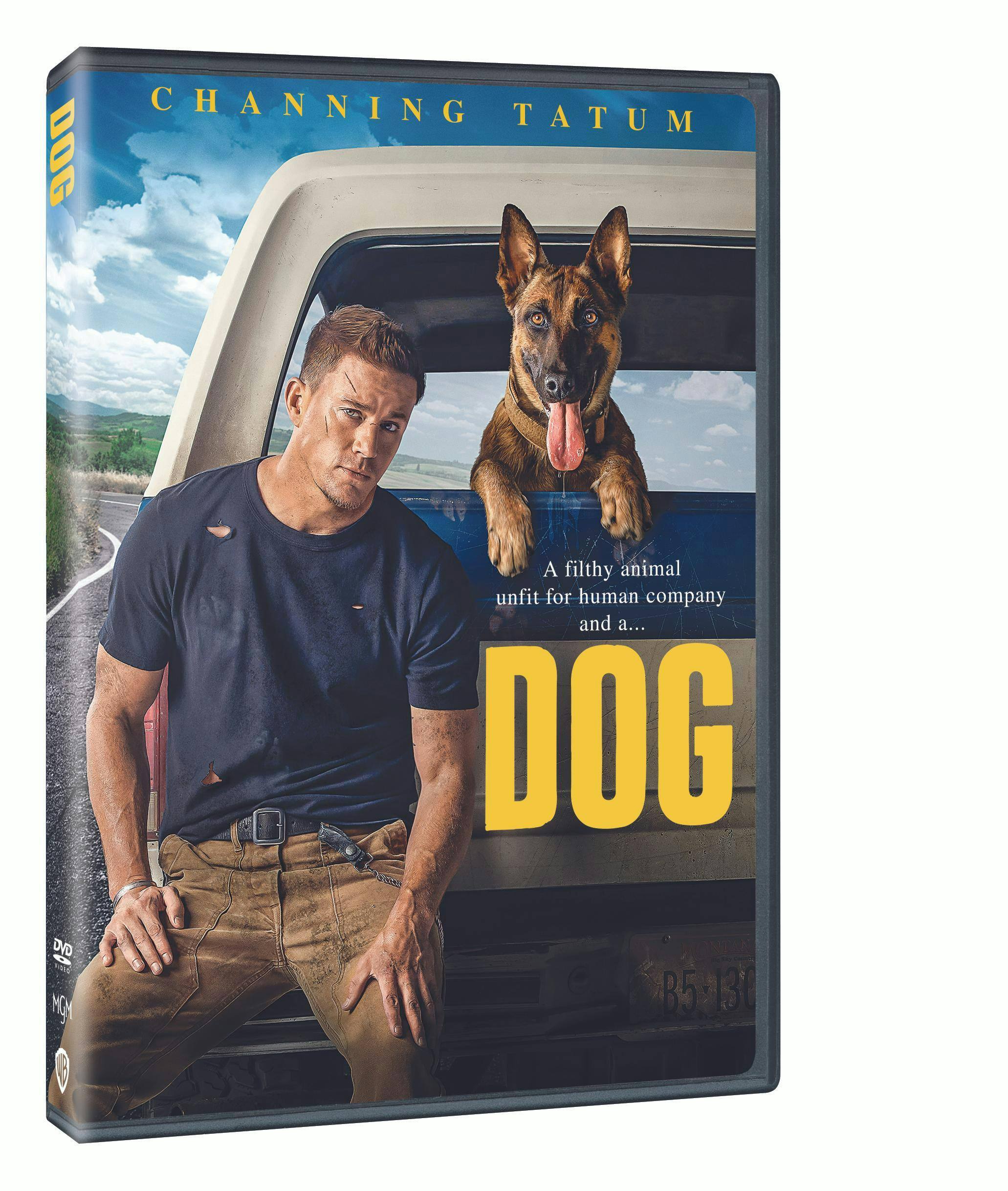 Angle. Dog [DVD].