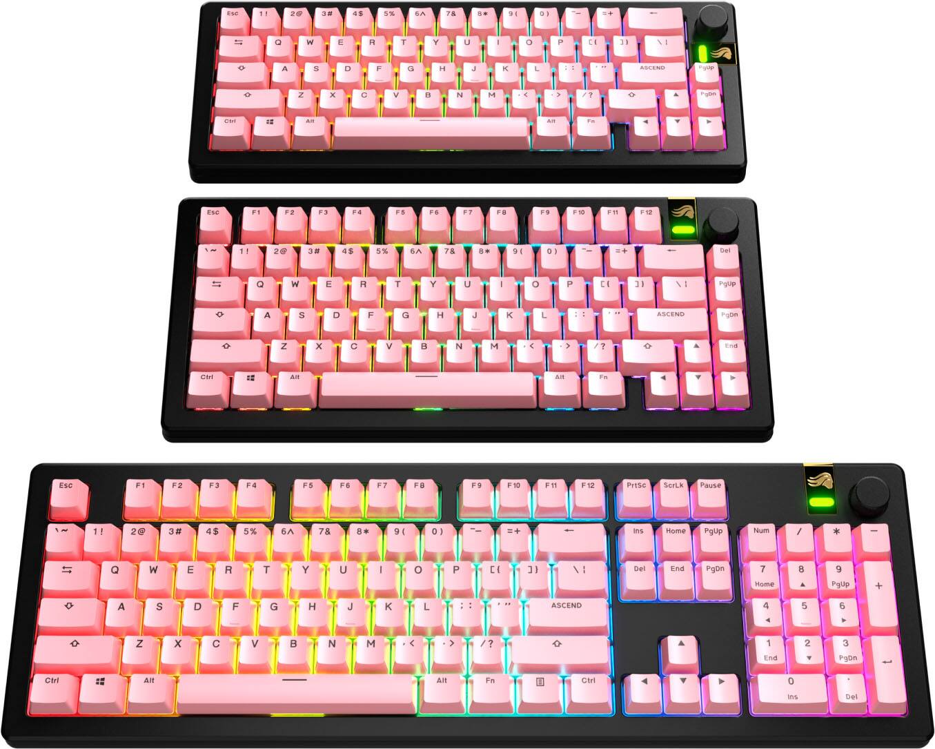 The image shows two keyboards, one pink and one black, placed side by side. The pink keyboard has a colorful rainbow design, while the black keyboard has a more traditional appearance. The keys on both keyboards are labeled with letters and numbers, making them suitable for typing and computer use. The arrangement of the keyboards suggests that they might be used for different purposes, such as gaming or everyday computing tasks.