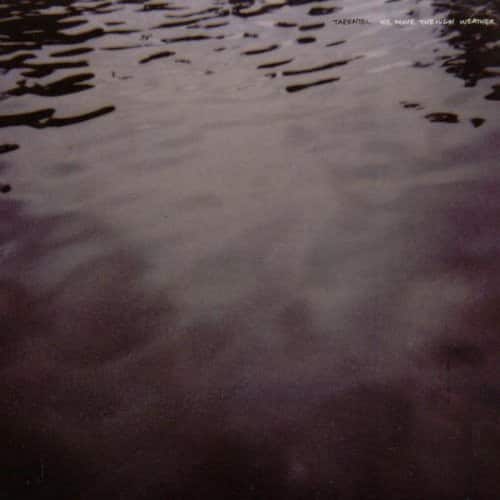 Tarentel - We Move Through Weather  - COMPACT DISCS